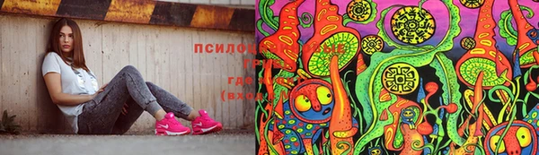 соль ск Липки