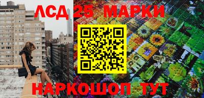 прущие грибы Волгодонск