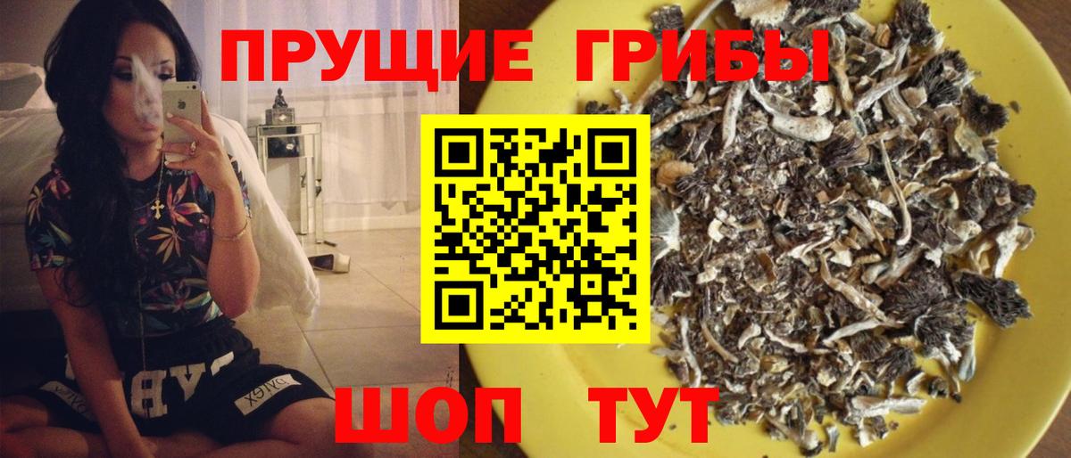 Новочебоксарск  Галлюциногенные грибы мухоморы  Вход с VPN 