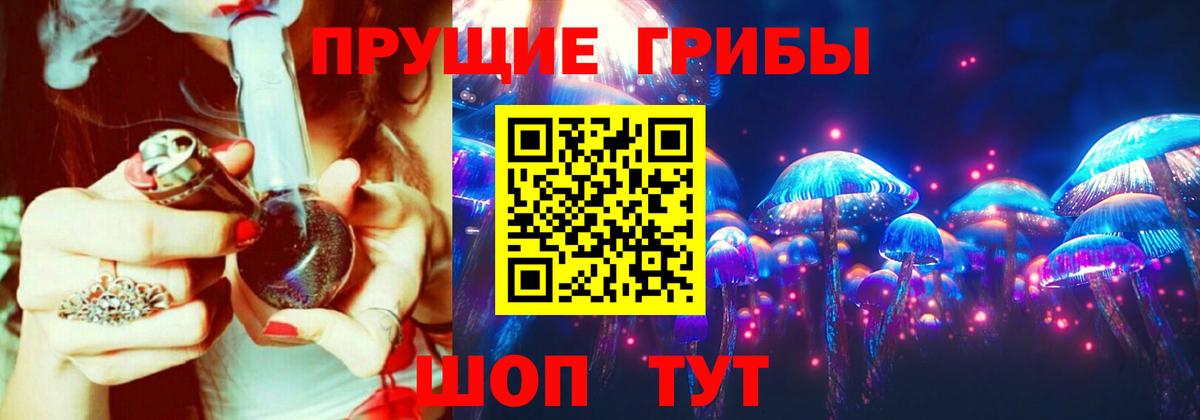 Галлюциногенные грибы GOLDEN TEACHER Новочебоксарск